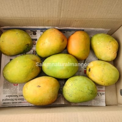 Salem Natural Mangoes